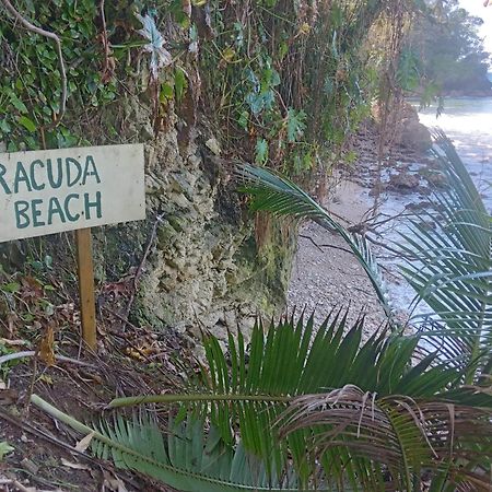 Barracuda Beach Hotel Port Antonio Buitenkant foto