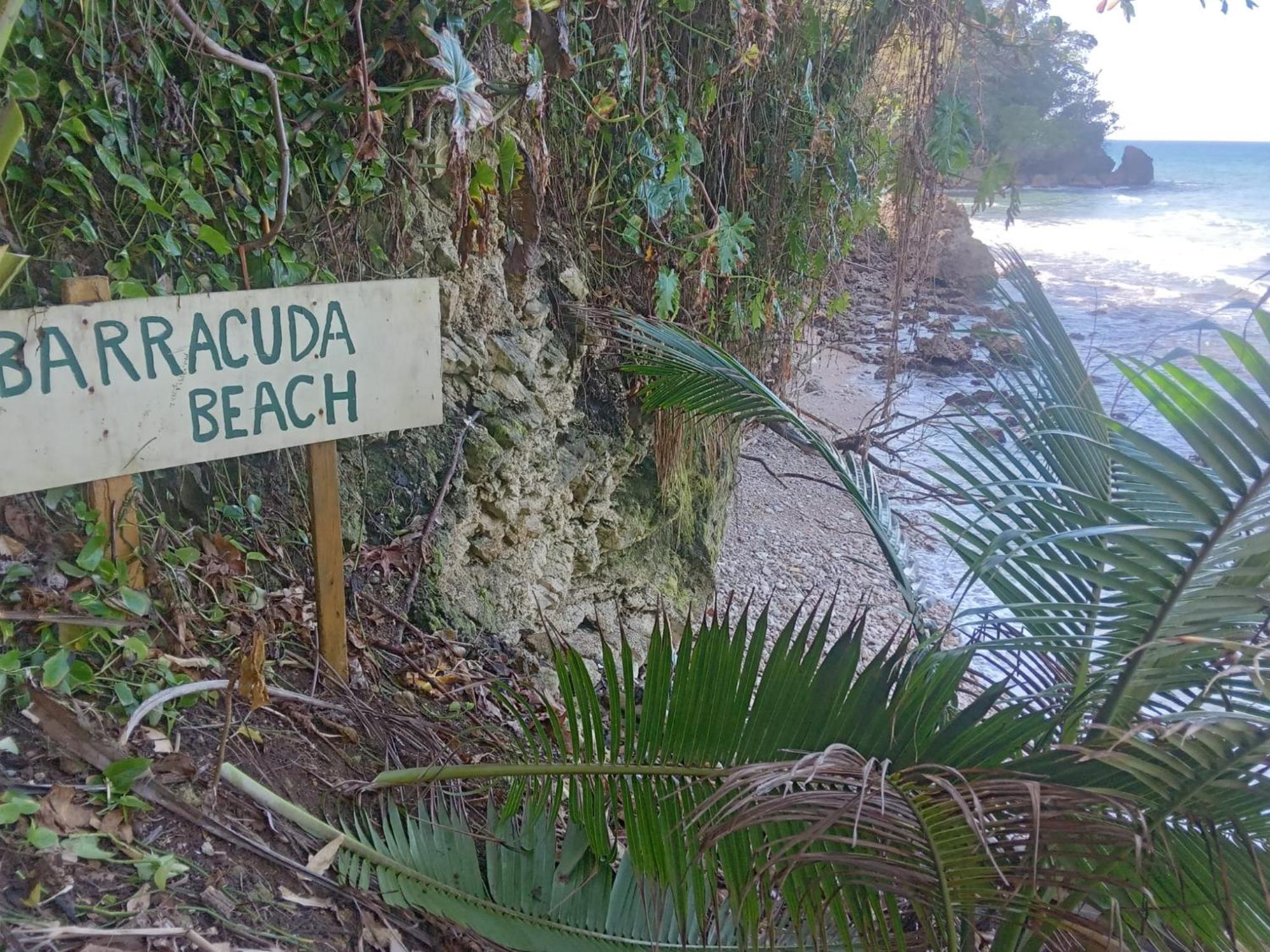 Barracuda Beach Hotel Port Antonio Buitenkant foto