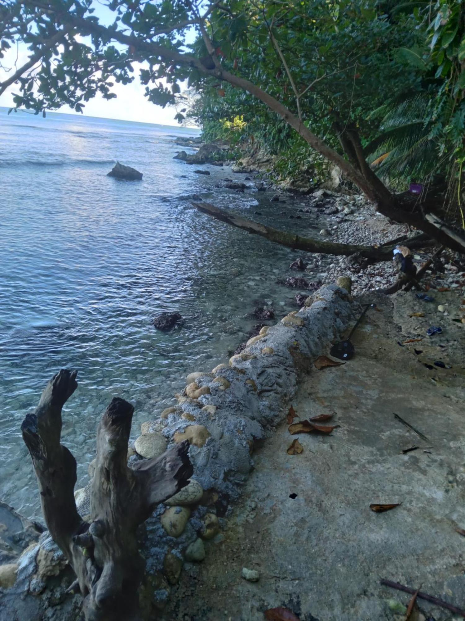 Barracuda Beach Hotel Port Antonio Buitenkant foto