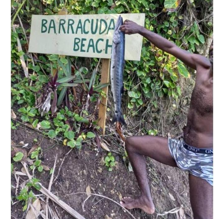 Barracuda Beach Hotel Port Antonio Buitenkant foto